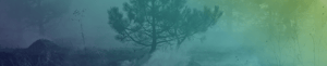 ACPA-Website-Header-Disaster-Resistant-2